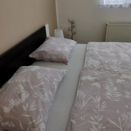 Apartma JERMAN - Cerknica Bagian luar foto
