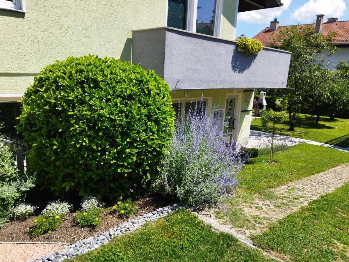 Apartma JERMAN - Cerknica Bagian luar foto